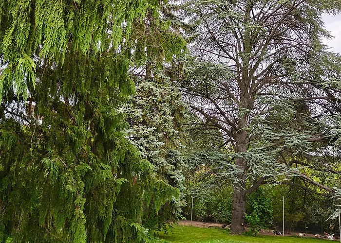 Сasa de vacaciones Haus Mit Garten Nahe U1 Viena